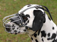 Dalmatian Wire Basket dog muzzle-Basket muzzle for Dalmatian Dalmatian Wire Basket dog muzzle-Basket muzzle for Dalmatian