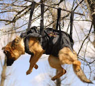 Tactical Insertion Harness - Crucial harness in rapid ascending Tactical Insertion Harness - Crucial harness in rapid ascending