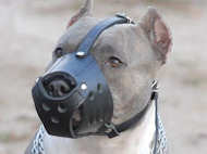 leather dog muzzle , dog muzzles