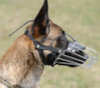 Belgian Malinois dog Muzzles