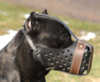 Cane Corso dog Muzzles