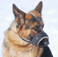 Royal Nappa Leather Dog Muzzle - product code : M88 Royal Nappa Leather Dog Muzzle - product code : M88