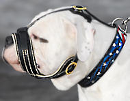 American bulldog Royal Nappa Leather Dog Muzzle American bulldog Royal Nappa Leather Dog Muzzle