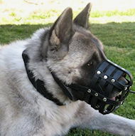 Everyday Light Weight Ventilation dog muzzle for Akita Everyday Light Weight Ventilation dog muzzle for Akita
