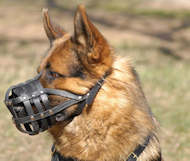 Leather muzzle 2024 for german shepherd