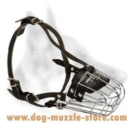 Super popular wire basket dog muzzle Super popular wire basket dog muzzle
