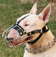 English Bull Terrier Wire Basket dog muzzle- custom dog muzzle English Bull Terrier Wire Basket dog muzzle- custom dog muzzle