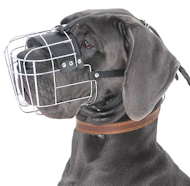Great Dane Wire Basket dog muzzle-Large dog muzzle Great Dane Wire Basket dog muzzle-Large dog muzzle