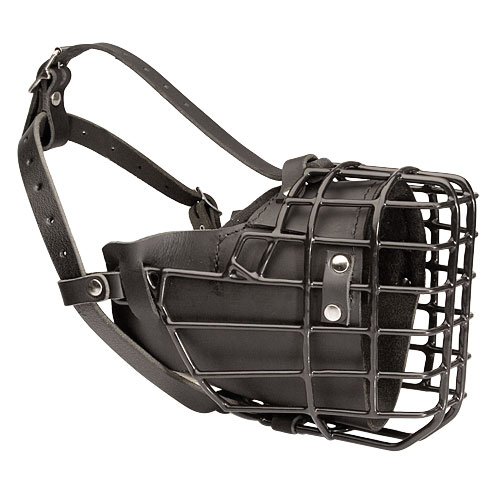 Wire mesh clearance dog muzzle