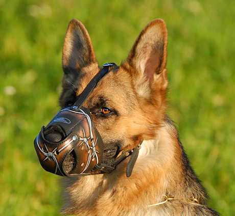 wire muzzle german shepherd