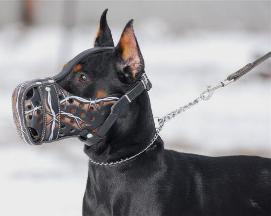 Leather clearance agitation muzzle