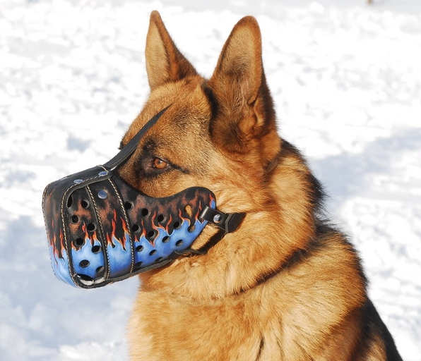 best dog muzzle for german shepherd