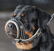 Leather Royal Nappa Dog Muzzle for Rottweiler Leather Royal Nappa Dog Muzzle for Rottweiler