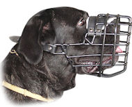 dog muzzle for cane corso