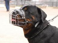 Dog muzzle best sale for rottweiler